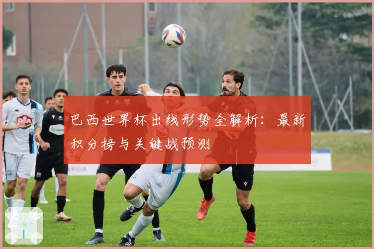 巴西世界杯出线形势全解析：最新积分榜与关键战预测