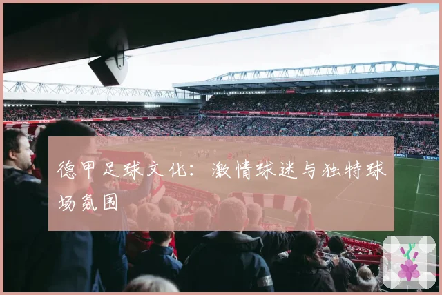 德甲足球文化：激情球迷与独特球场氛围