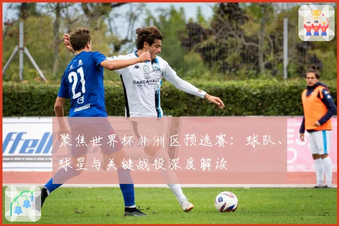 聚焦世界杯非洲区预选赛：球队、球星与关键战役深度解读