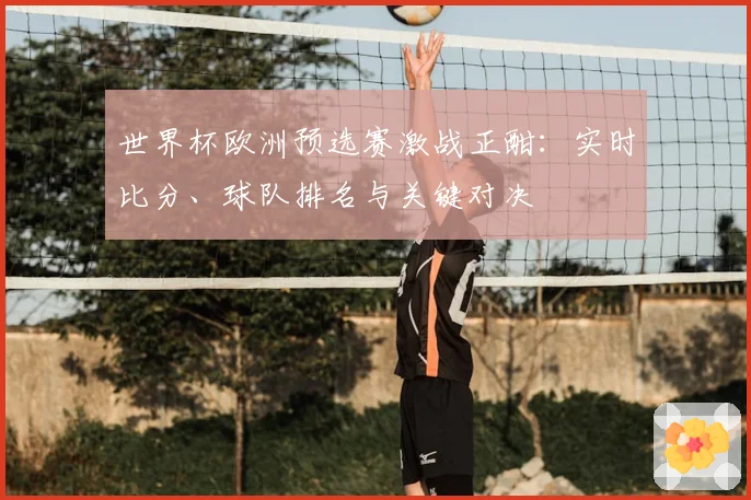 世界杯欧洲预选赛激战正酣：实时比分、球队排名与关键对决
