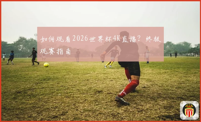 如何观看2026世界杯4K直播？终极观赛指南