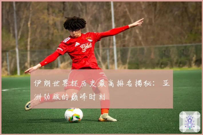 伊朗世界杯历史最高排名揭秘：亚洲劲旅的巅峰时刻
